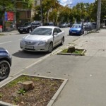 Сегодня в центре Симферополя будут высаживать молодые деревья на месте срубленных