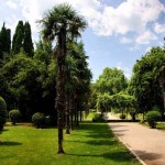 В Крыму под коттеджи вырубают 200-летний Мисхорский парк