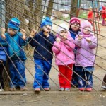 В Симферополе появилась электронная очередь в детские сады. Где записаться, как контролировать онлайн?