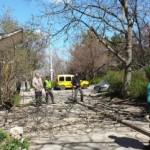 «Зеленке» города — своевременный уход