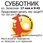 Приглашаем на субботник 17 мая!