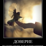 Сотрудники КРОО «Конгресс «МИР» о Новом доверии.