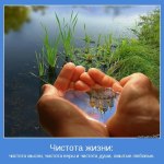 Приглашаем всех на субботник!!!