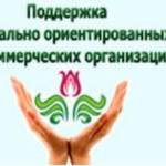 Куда потратят деньги некоммерческие организации?