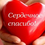 Отзыв о работе МОО «Конгресс защиты прав и свобод человека «МИР»