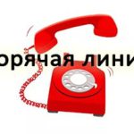 Бесплатная горячая линия юридической помощи!